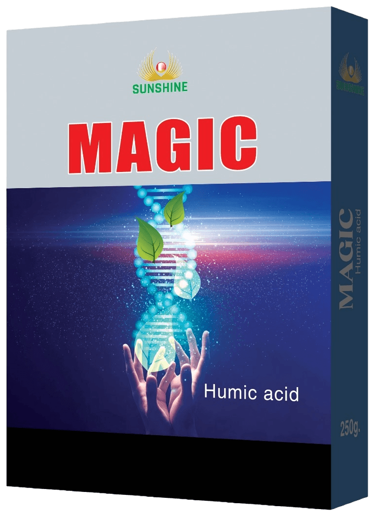 MAGIC