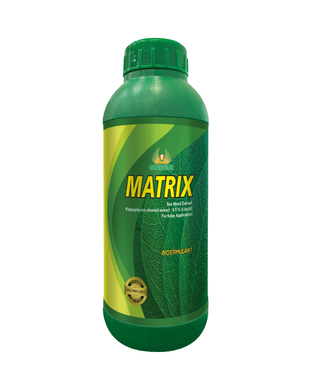 MATRIX