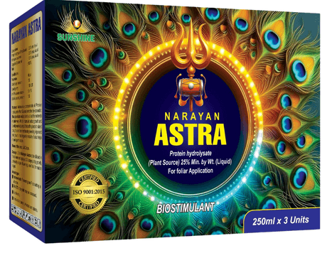NARAYAN ASTRA