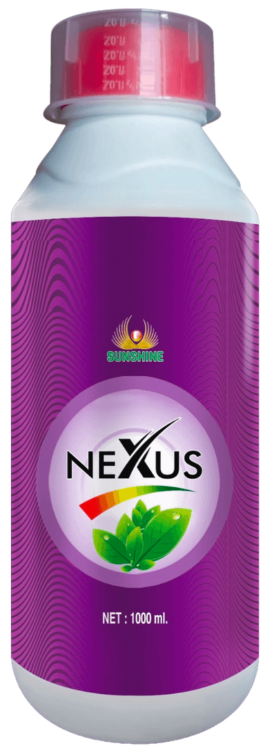 Nutri Gold
