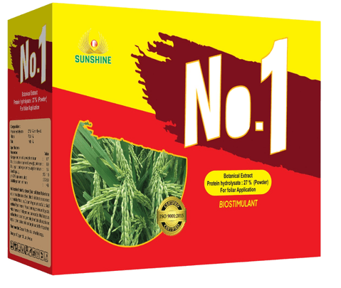 NO.1