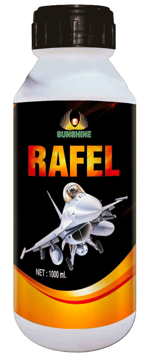 RAFEL