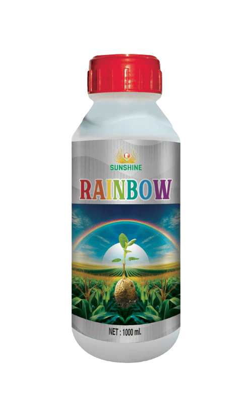RAINBOW